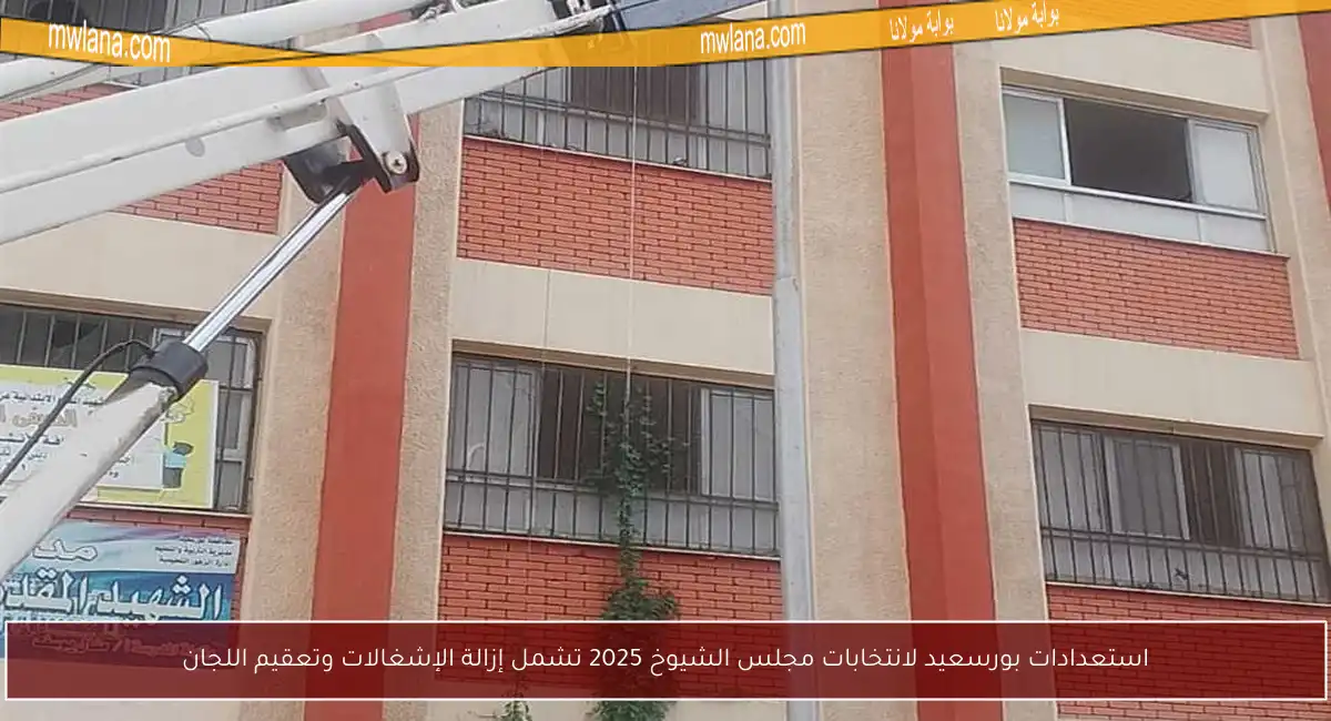 استعدادات بورسعيد لانتخابات مجلس الشيوخ 2025 تشمل إزالة الإشغالات وتعقيم اللجان