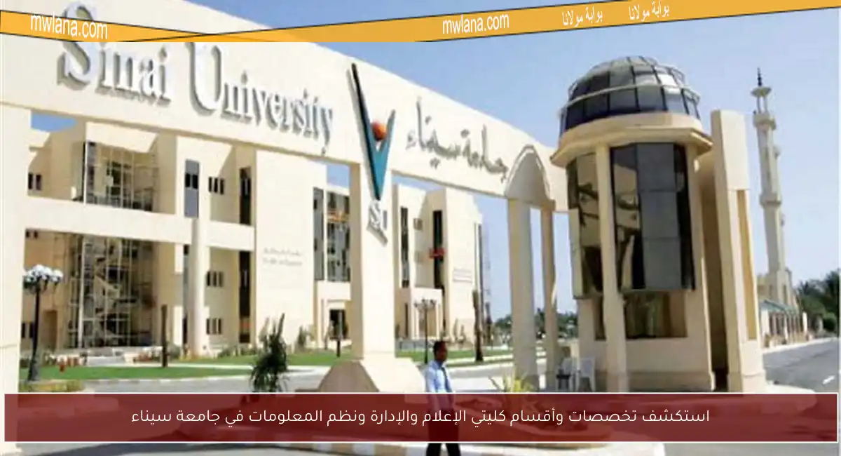 استكشف تخصصات وأقسام كليتي الإعلام والإدارة ونظم المعلومات في جامعة سيناء