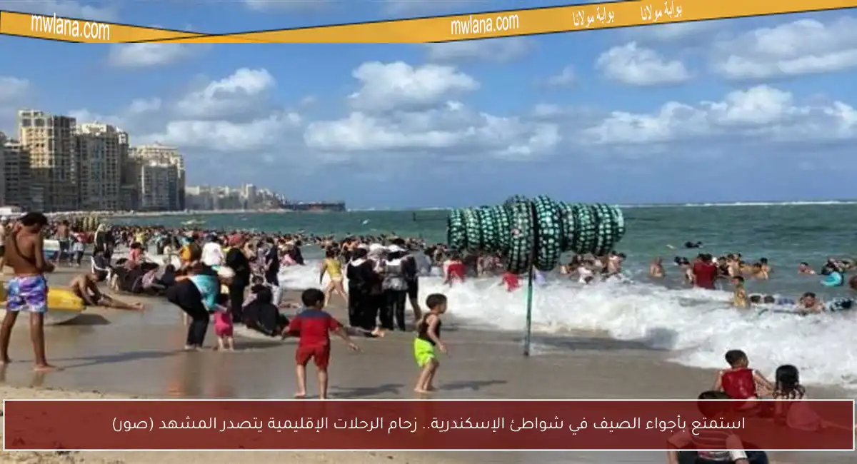 استمتع بأجواء الصيف في شواطئ الإسكندرية.. زحام الرحلات الإقليمية يتصدر المشهد (صور)