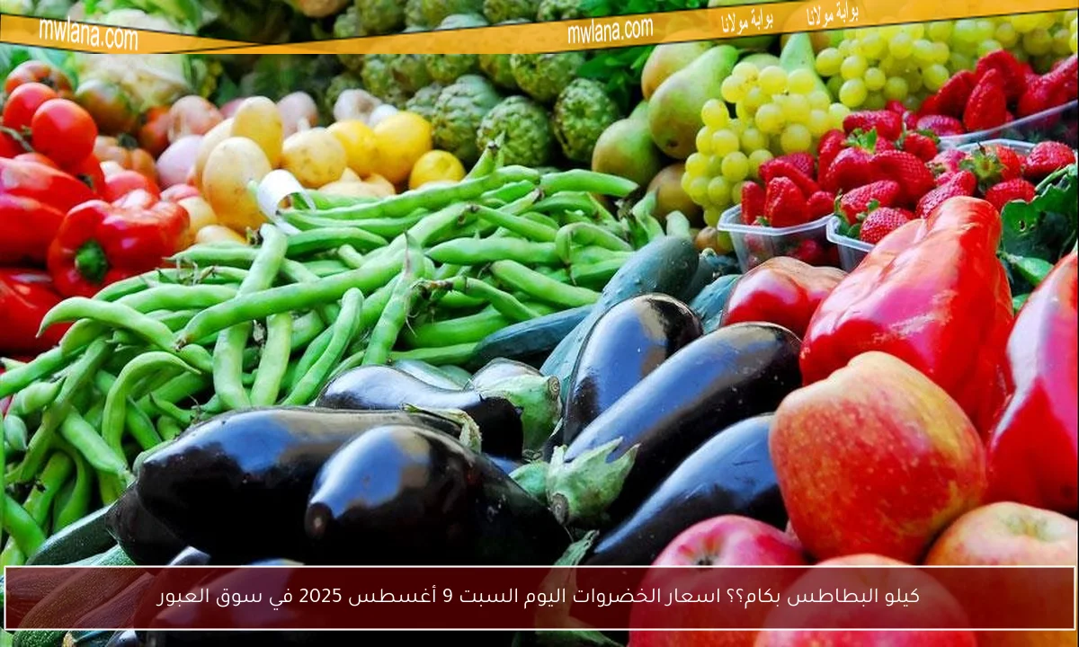 كيلو البطاطس بكام؟؟ اسعار الخضروات اليوم السبت 9 أغسطس 2025 في سوق العبور