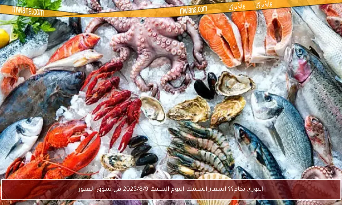البوري بكام؟؟ اسعار السمك اليوم السبت 2025/8/9 في سوق العبور