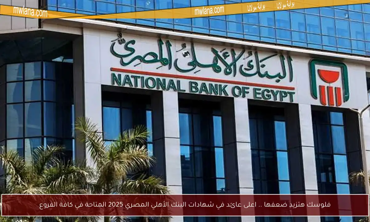 فلوسك هتزيد ضعفها .. اعلى عائد في شهادات البنك الأهلي المصري 2025 المتاحة في كافة الفروع