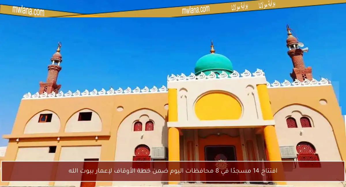 افتتاح 14 مسجدًا في 8 محافظات اليوم ضمن خطة الأوقاف لإعمار بيوت الله