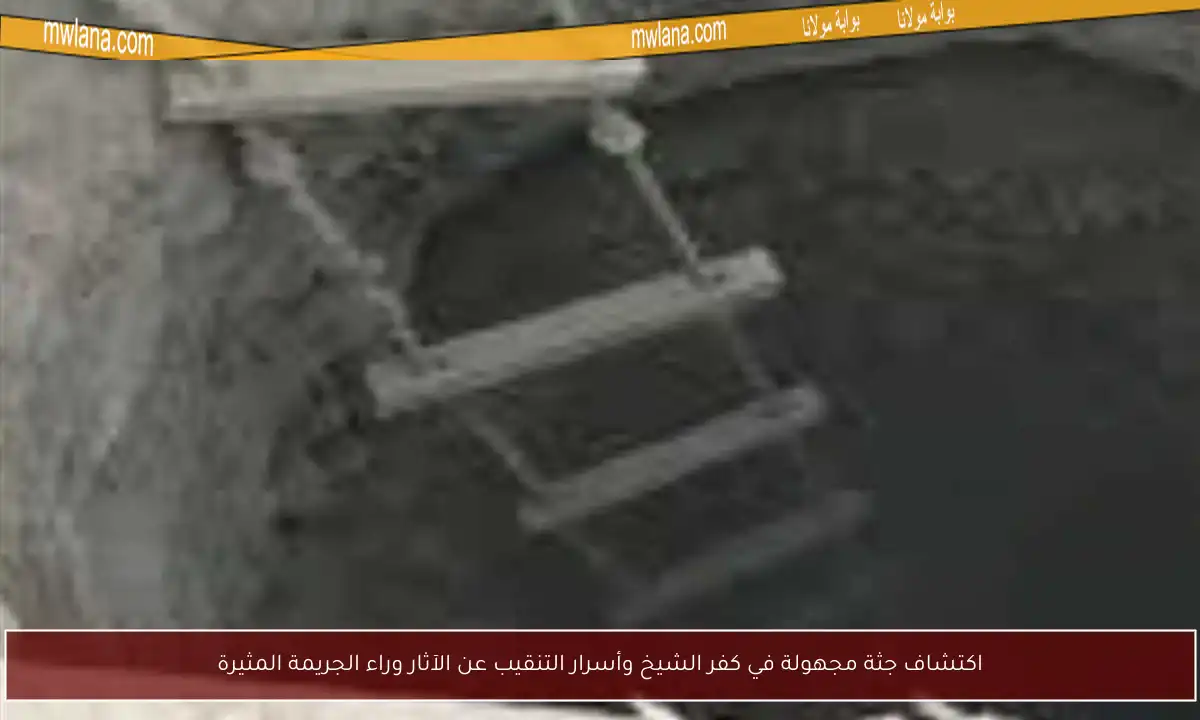 اكتشاف جثة مجهولة في كفر الشيخ وأسرار التنقيب عن الآثار وراء الجريمة المثيرة