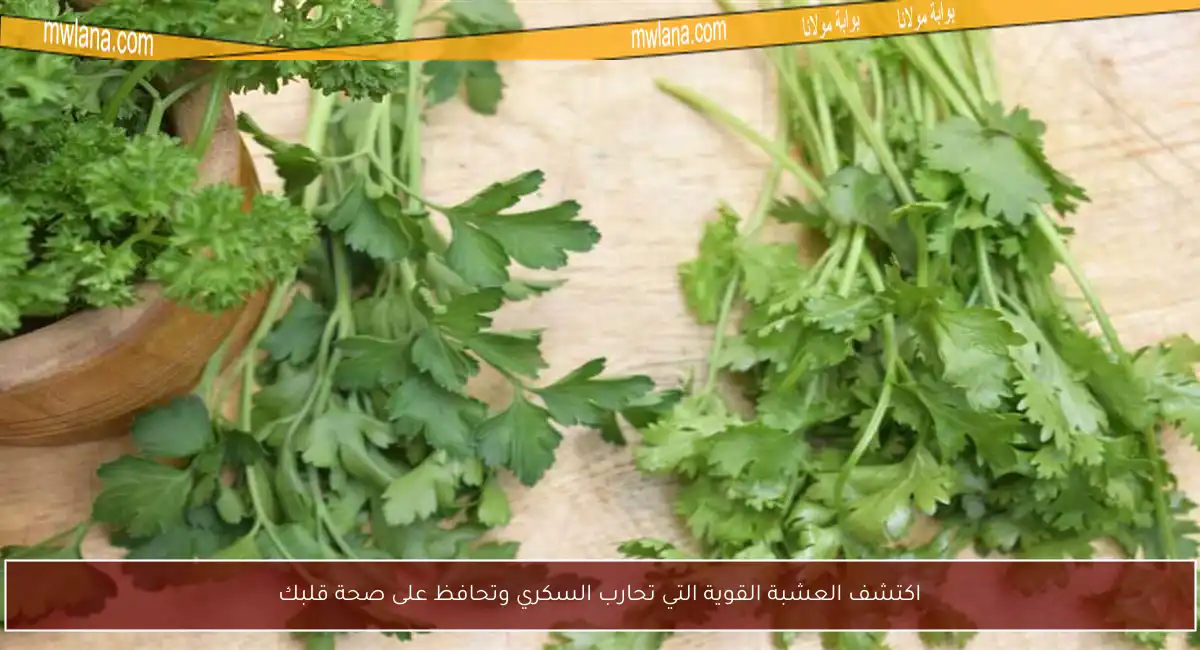 اكتشف العشبة القوية التي تحارب السكري وتحافظ على صحة قلبك