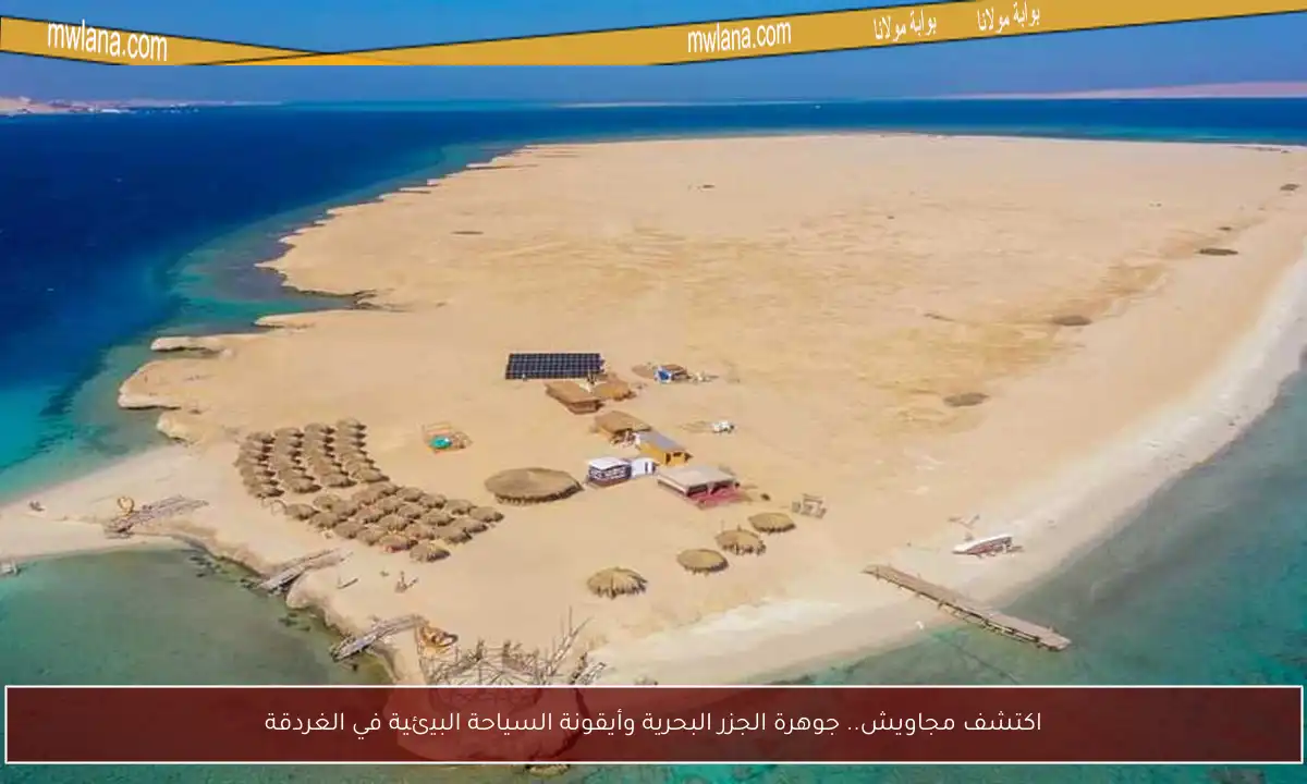 اكتشف مجاويش.. جوهرة الجزر البحرية وأيقونة السياحة البيئية في الغردقة