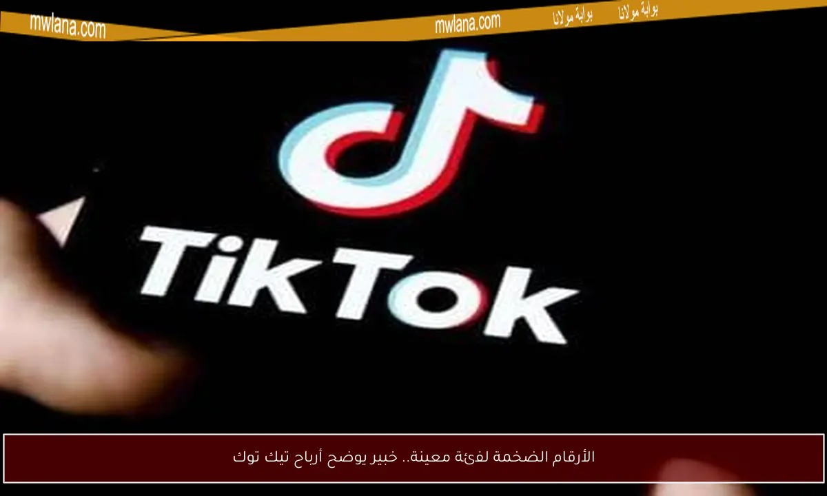 الأرقام الضخمة لفئة معينة.. خبير يوضح أرباح تيك توك