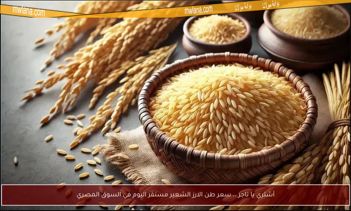 أشتري يا تاجر .. سعر طن الارز الشعير مستقر اليوم في السوق المصري