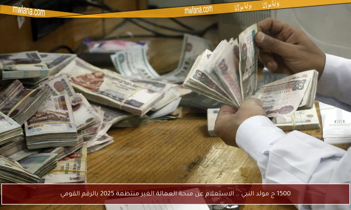 1500 ج مولد النبي .. الاستعلام عن منحة العمالة الغير منتظمة 2025 بالرقم القومي