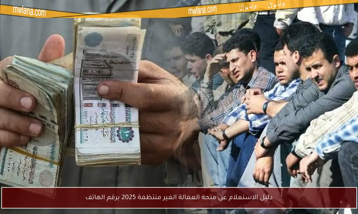 دليل الاستعلام عن منحة العمالة الغير منتظمة 2025 برقم الهاتف
