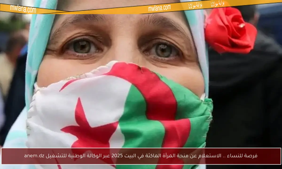 فرصة للنساء .. الاستعلام عن منحة المرأة الماكثة في البيت 2025 عبر الوكالة الوطنية للتشغيل anem.dz