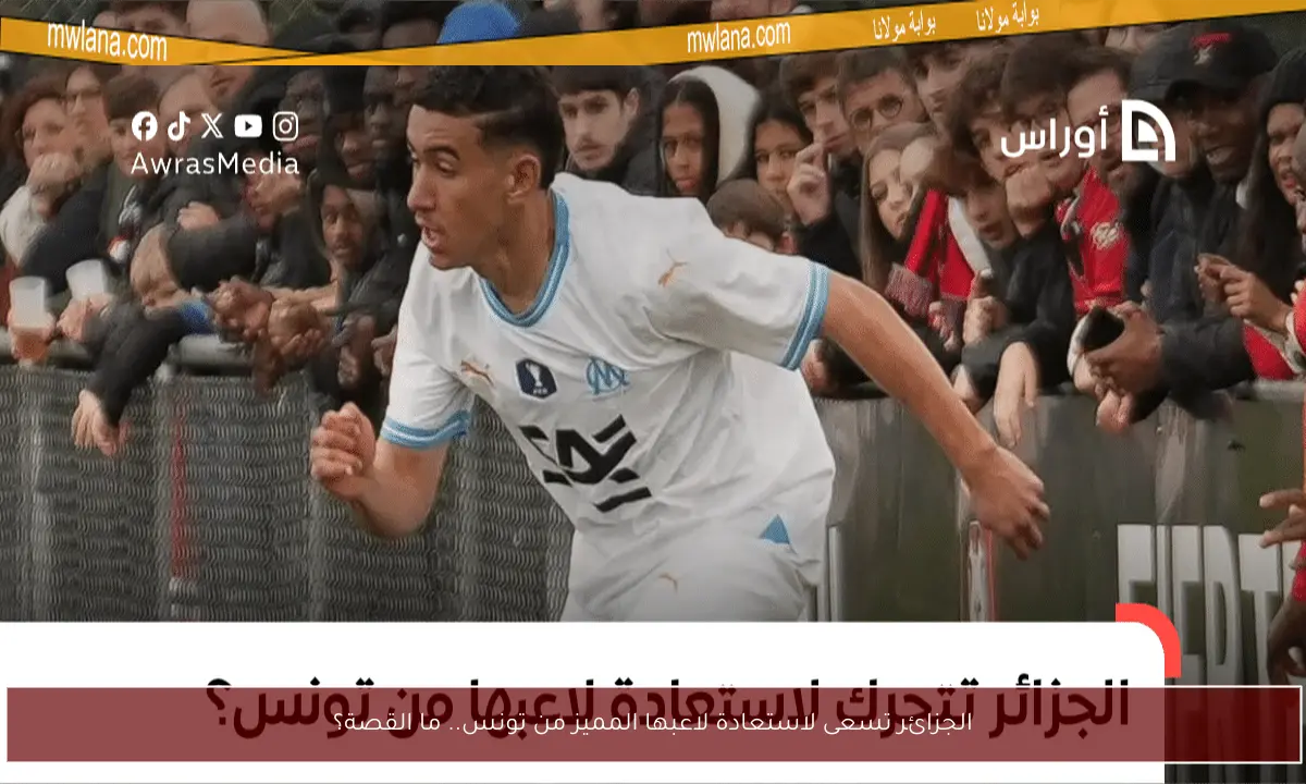 الجزائر تسعى لاستعادة لاعبها المميز من تونس.. ما القصة؟