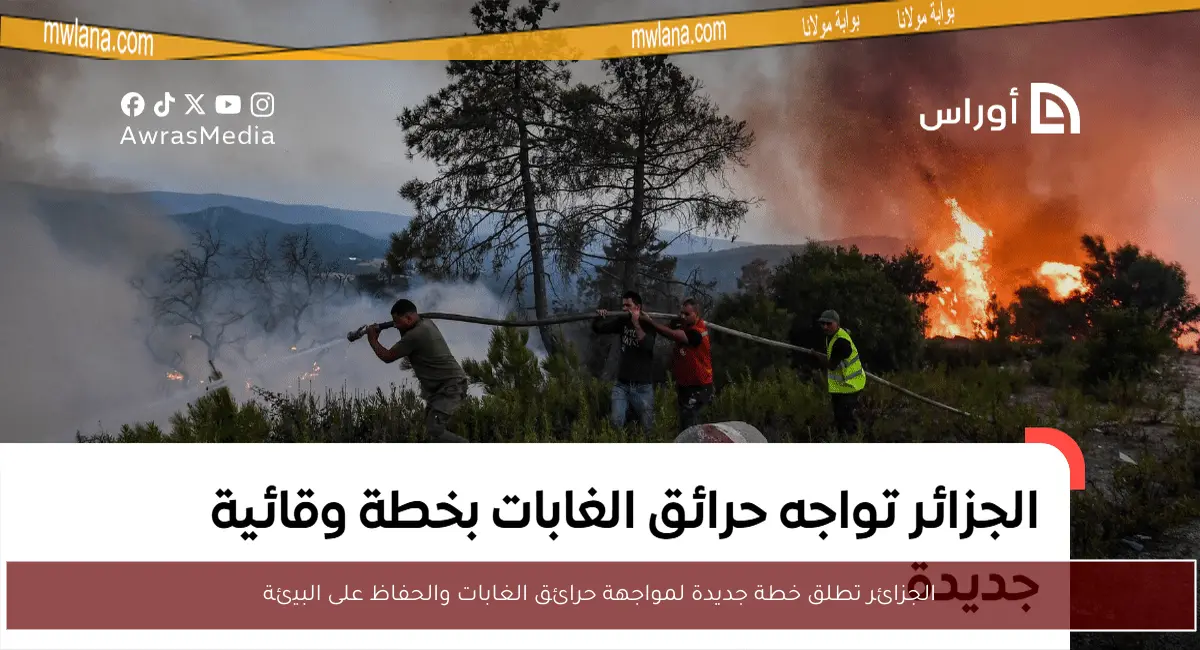 الجزائر تطلق خطة جديدة لمواجهة حرائق الغابات والحفاظ على البيئة