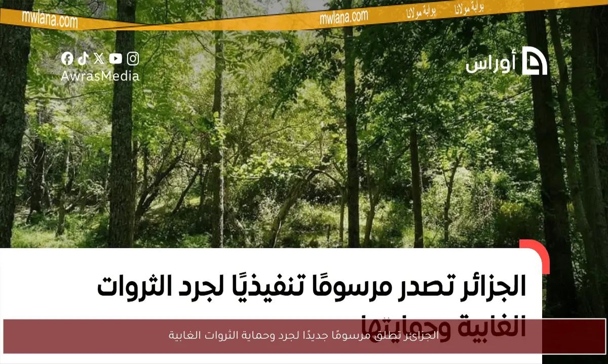 الجزائر تطلق مرسومًا جديدًا لجرد وحماية الثروات الغابية