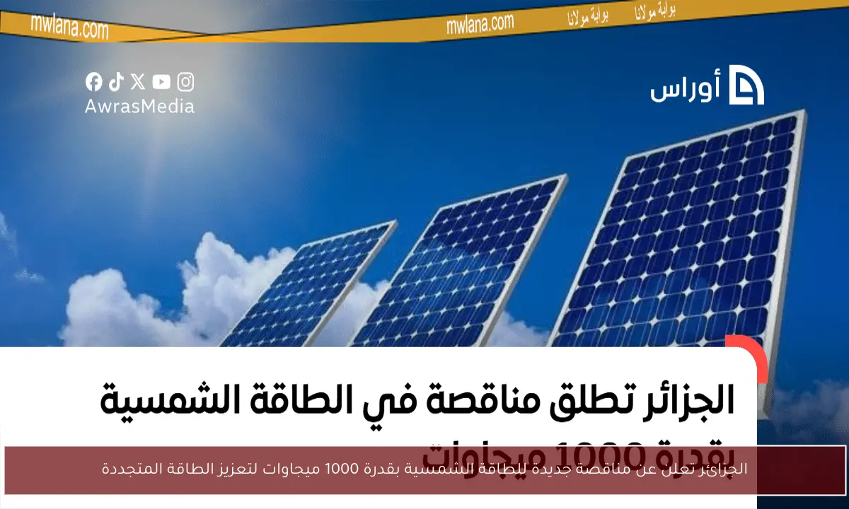 الجزائر تعلن عن مناقصة جديدة للطاقة الشمسية بقدرة 1000 ميجاوات لتعزيز الطاقة المتجددة