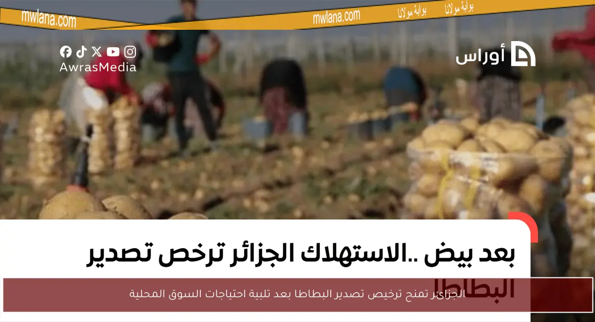الجزائر تمنح ترخيص تصدير البطاطا بعد تلبية احتياجات السوق المحلية