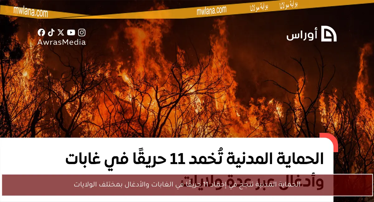 الحماية المدنية تنجح في إخماد 11 حريقًا في الغابات والأدغال بمختلف الولايات