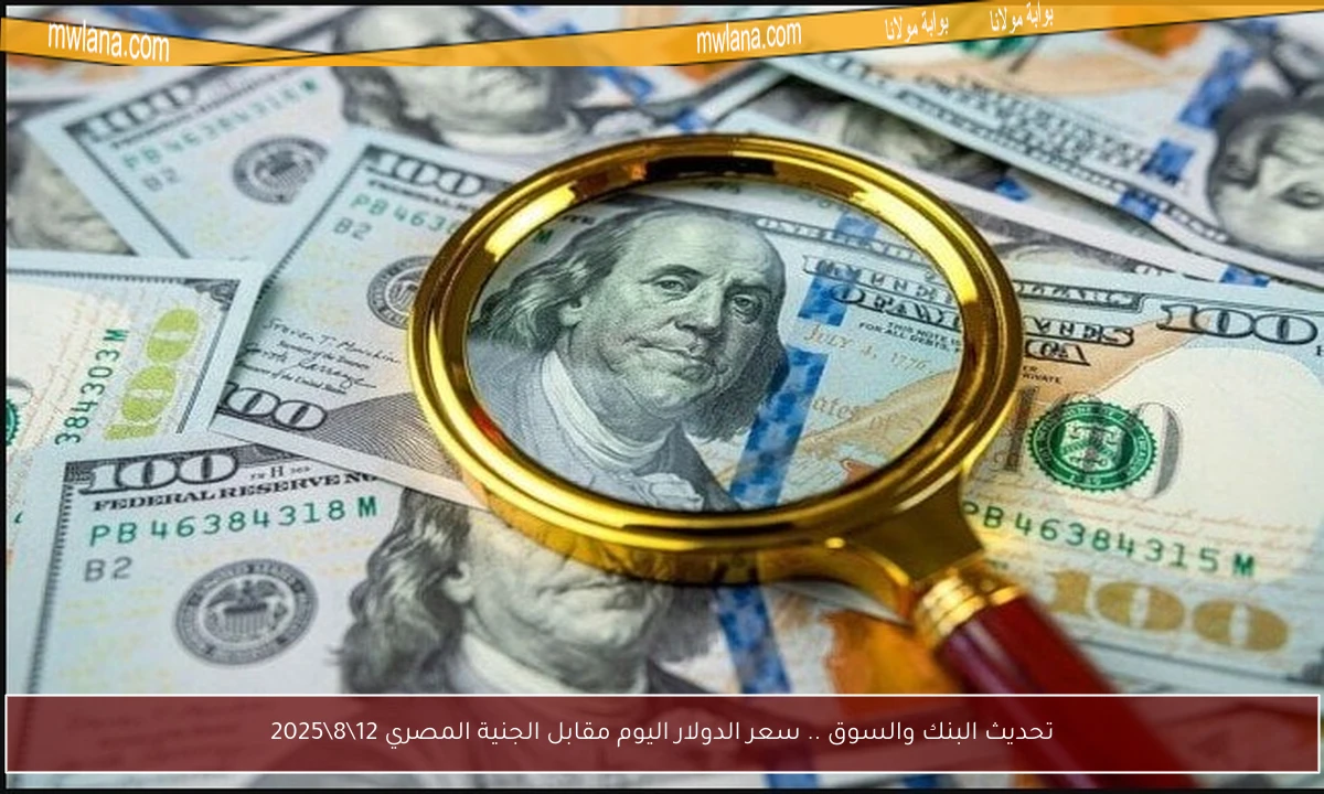 تحديث البنك والسوق .. سعر الدولار اليوم مقابل الجنية المصري 12\8\2025