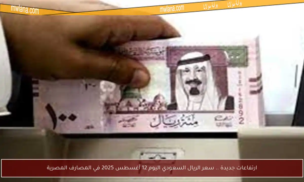 ارتفاعات جديدة .. سعر الريال السعودي اليوم 12 أغسطس 2025 في المصارف المصرية