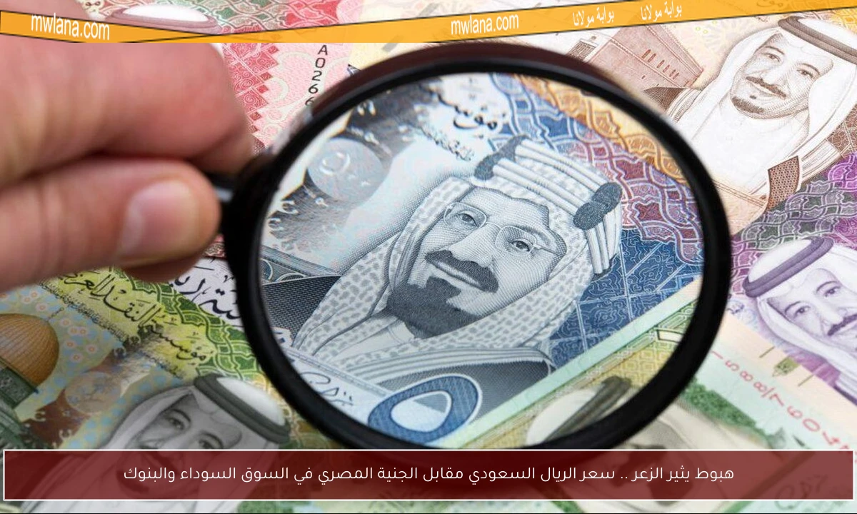 هبوط يثير الزعر .. سعر الريال السعودي مقابل الجنية المصري في السوق السوداء والبنوك