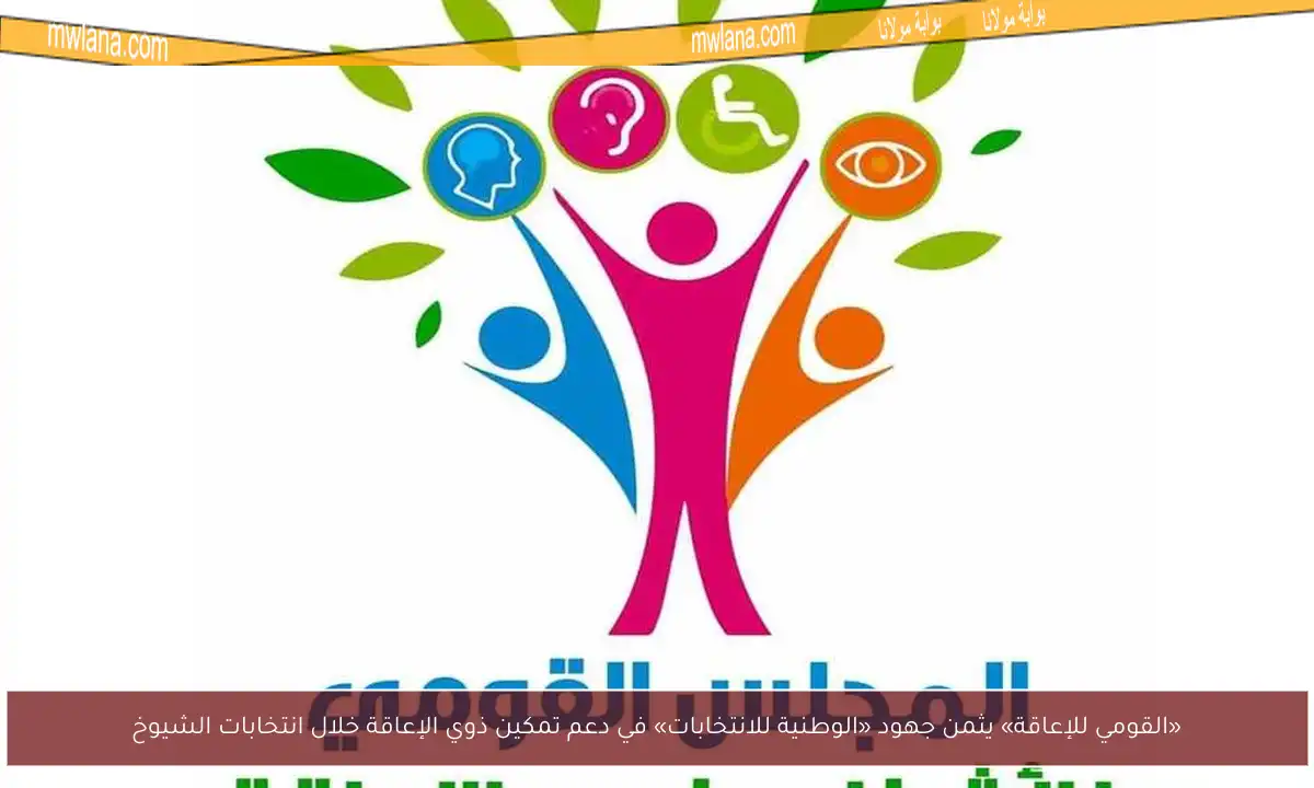 «القومي للإعاقة» يثمن جهود «الوطنية للانتخابات» في دعم تمكين ذوي الإعاقة خلال انتخابات الشيوخ