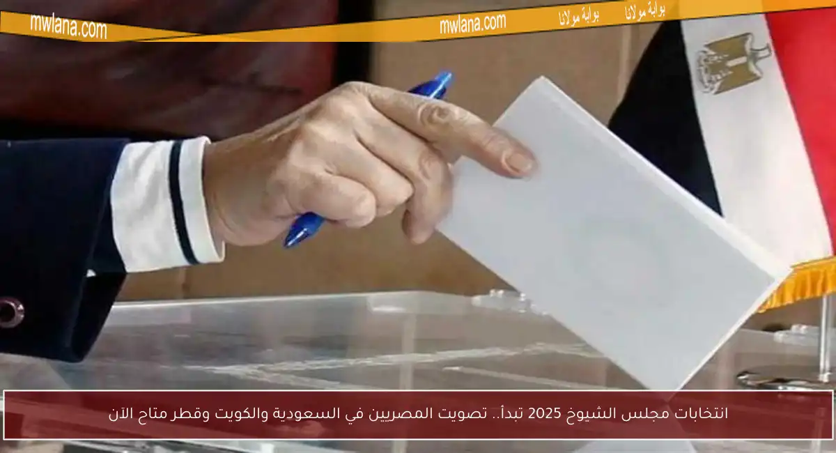 انتخابات مجلس الشيوخ 2025 تبدأ.. تصويت المصريين في السعودية والكويت وقطر متاح الآن