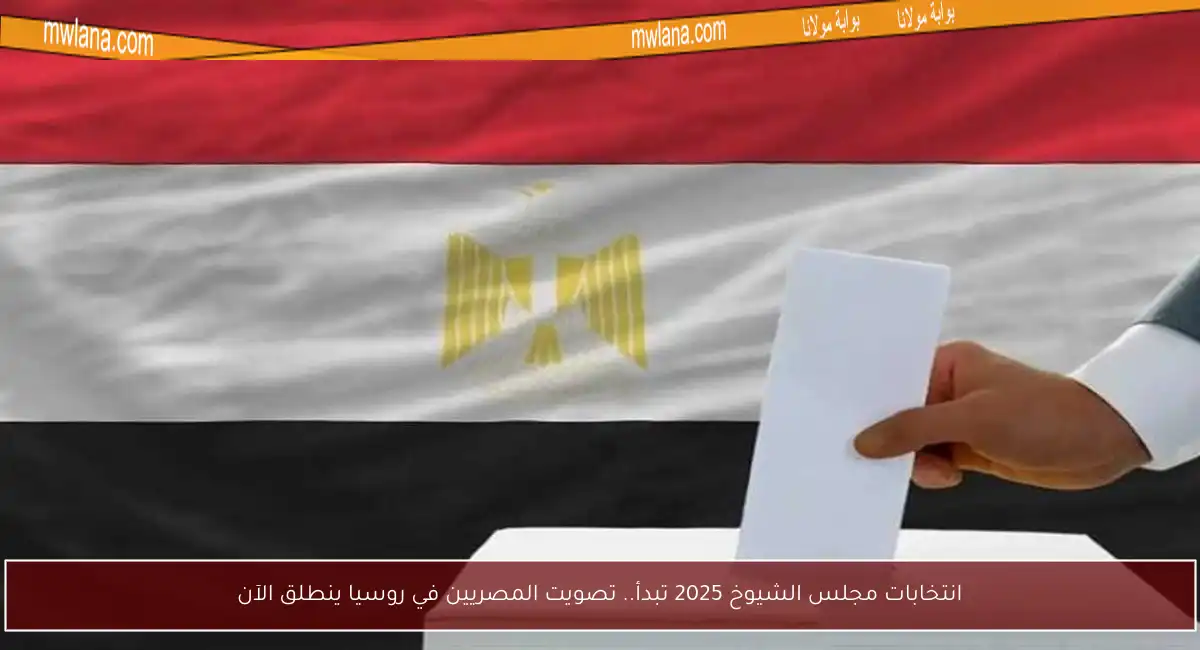 انتخابات مجلس الشيوخ 2025 تبدأ.. تصويت المصريين في روسيا ينطلق الآن