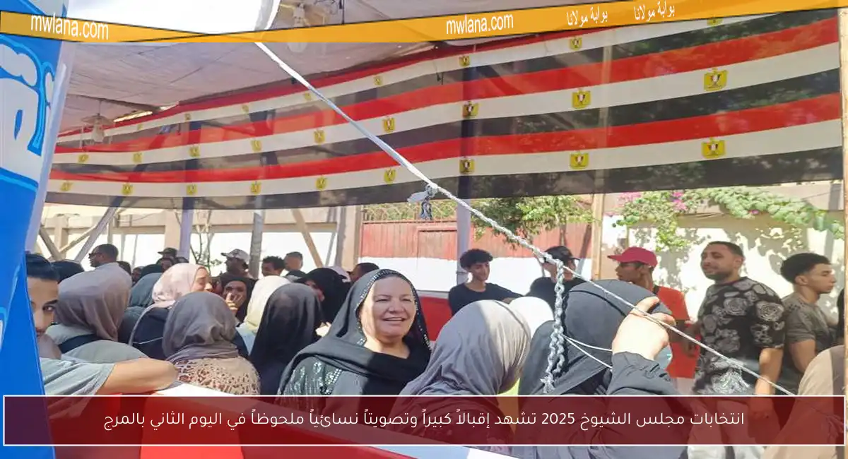 انتخابات مجلس الشيوخ 2025 تشهد إقبالاً كبيراً وتصويتاً نسائياً ملحوظاً في اليوم الثاني بالمرج