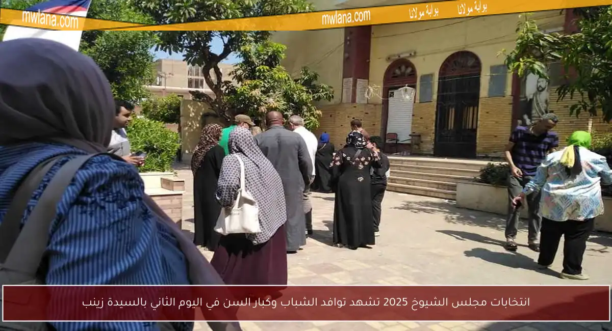انتخابات مجلس الشيوخ 2025 تشهد توافد الشباب وكبار السن في اليوم الثاني بالسيدة زينب