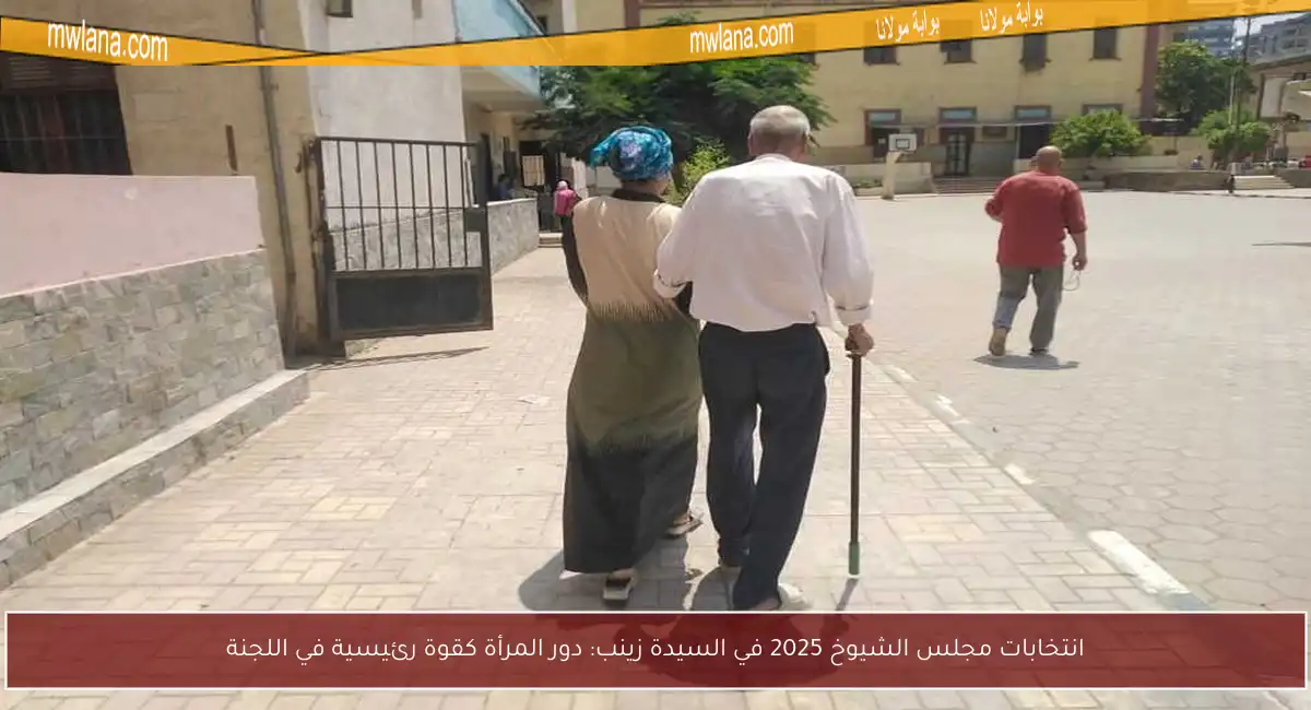 انتخابات مجلس الشيوخ 2025 في السيدة زينب: دور المرأة كقوة رئيسية في اللجنة