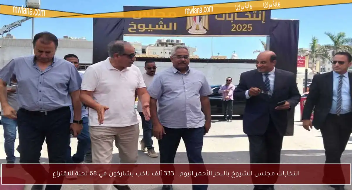 انتخابات مجلس الشيوخ بالبحر الأحمر اليوم.. 333 ألف ناخب يشاركون في 68 لجنة للاقتراع
