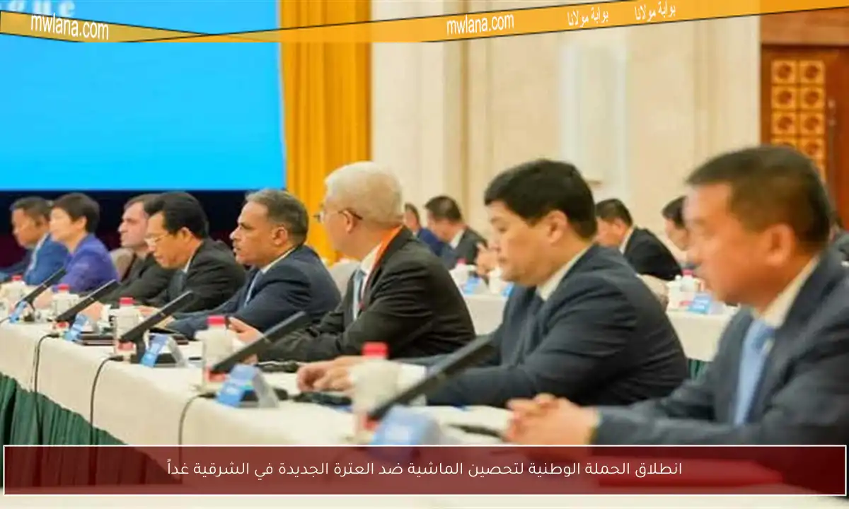 انطلاق الحملة الوطنية لتحصين الماشية ضد العترة الجديدة في الشرقية غداً