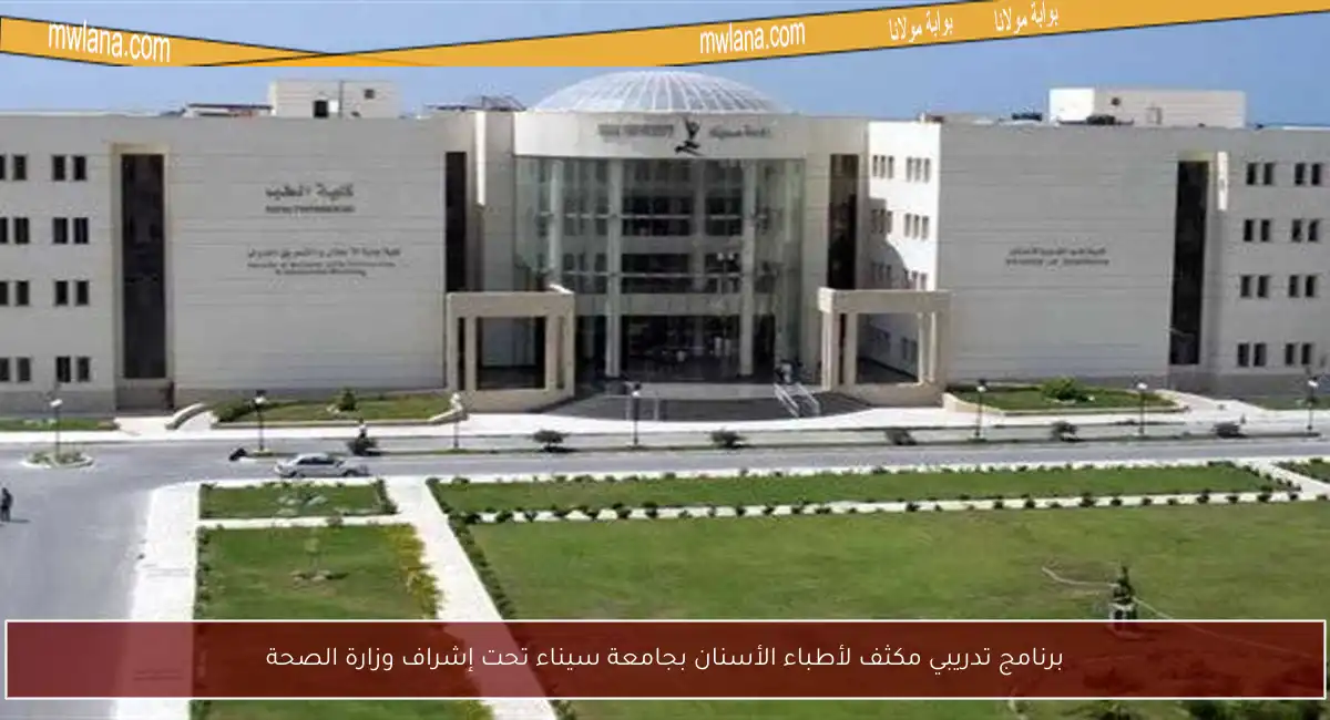 برنامج تدريبي مكثف لأطباء الأسنان بجامعة سيناء تحت إشراف وزارة الصحة