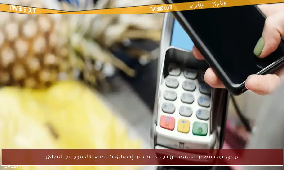 بريدي موب يتصدر المشهد.. زروقي يكشف عن إحصائيات الدفع الإلكتروني في الجزائر