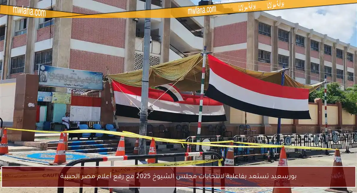 بورسعيد تستعد بفاعلية لانتخابات مجلس الشيوخ 2025 مع رفع أعلام مصر الحبيبة