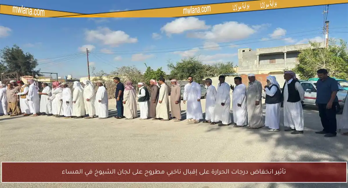 تأثير انخفاض درجات الحرارة على إقبال ناخبي مطروح على لجان الشيوخ في المساء
