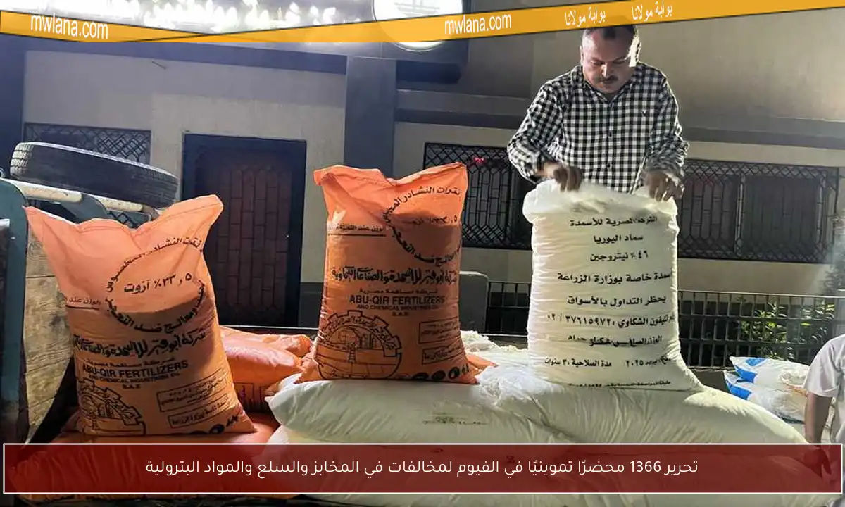 تحرير 1366 محضرًا تموينيًا في الفيوم لمخالفات في المخابز والسلع والمواد البترولية