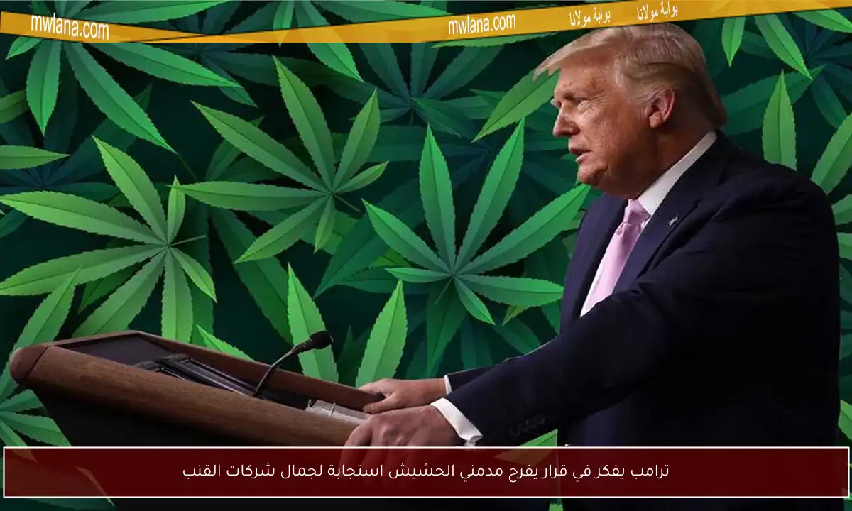ترامب يفكر في قرار يفرح مدمني الحشيش استجابة لجمال شركات القنب