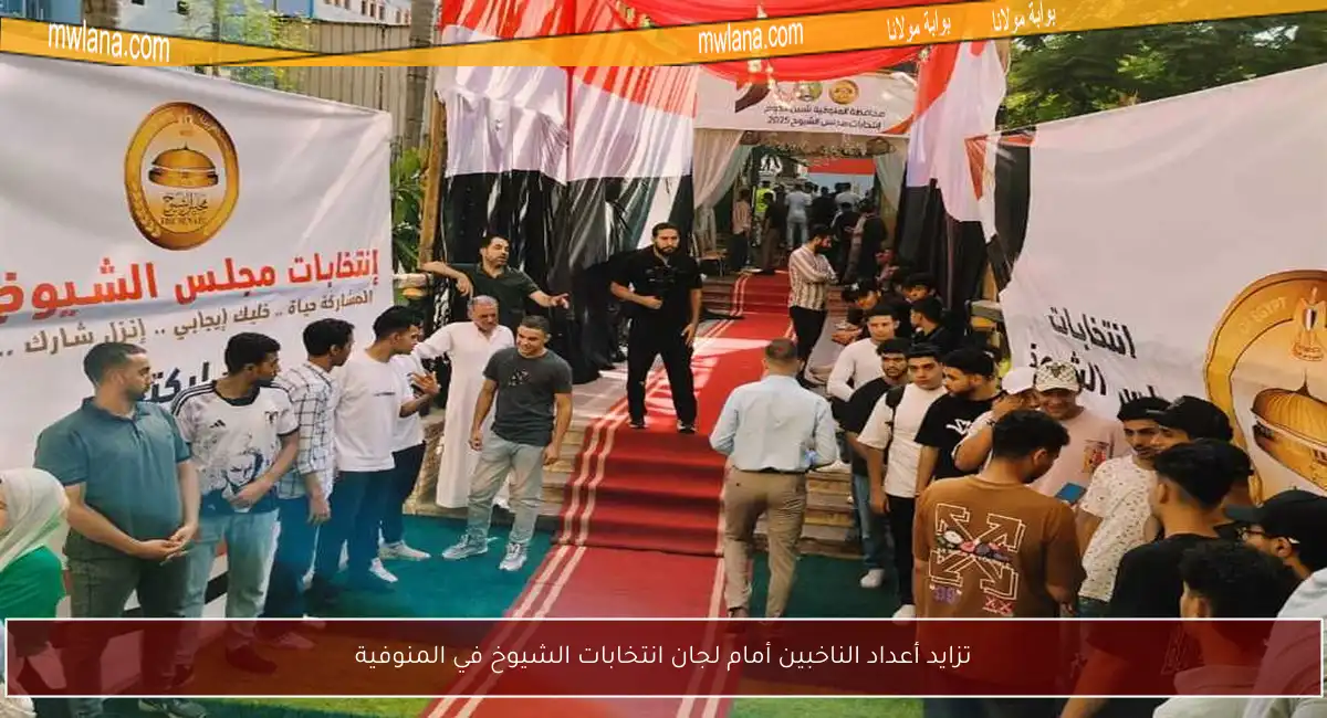 تزايد أعداد الناخبين أمام لجان انتخابات الشيوخ في المنوفية