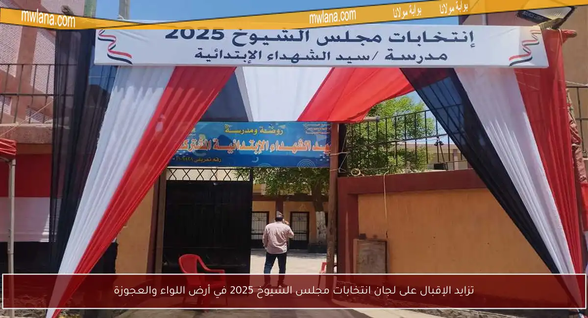 تزايد الإقبال على لجان انتخابات مجلس الشيوخ 2025 في أرض اللواء والعجوزة