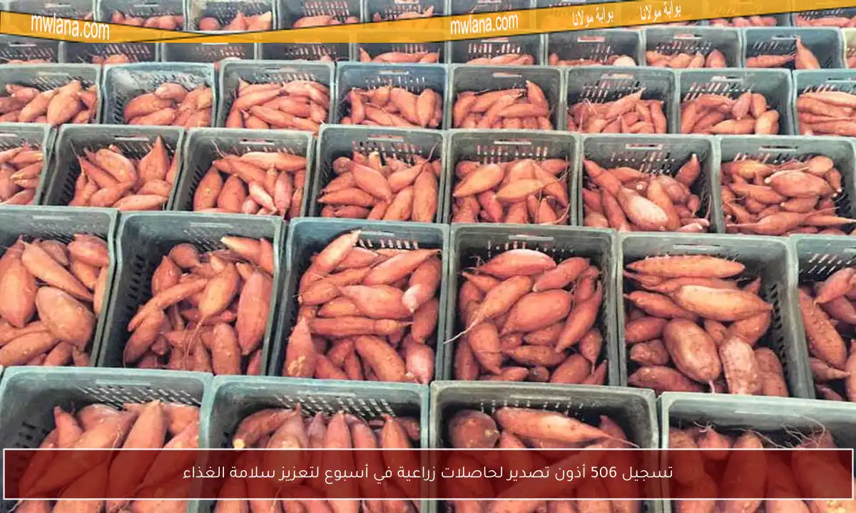 تسجيل 506 أذون تصدير لحاصلات زراعية في أسبوع لتعزيز سلامة الغذاء
