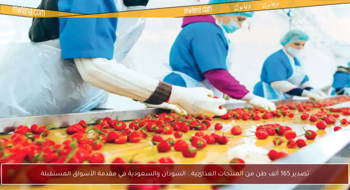 تصدير 165 ألف طن من المنتجات الغذائية.. السودان والسعودية في مقدمة الأسواق المستقبلة