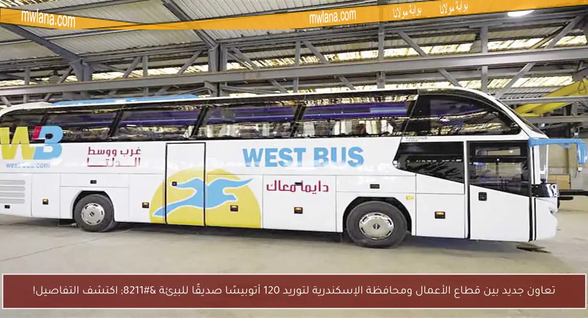 تعاون جديد بين قطاع الأعمال ومحافظة الإسكندرية لتوريد 120 أتوبيسًا صديقًا للبيئة – اكتشف التفاصيل!