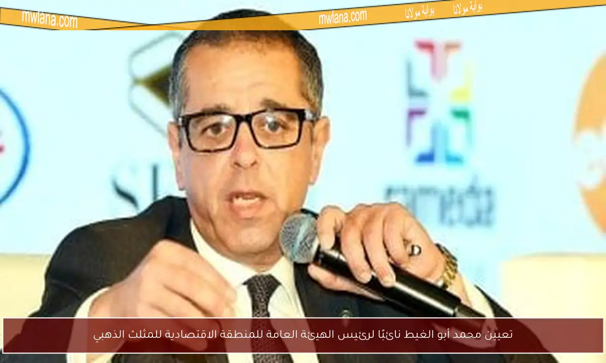 تعيين محمد أبو الغيط نائبًا لرئيس الهيئة العامة للمنطقة الاقتصادية للمثلث الذهبي