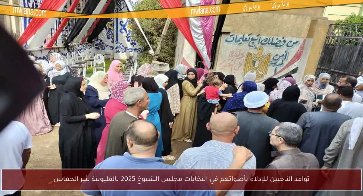 توافد الناخبين للإدلاء بأصواتهم في انتخابات مجلس الشيوخ 2025 بالقليوبية يثير الحماس