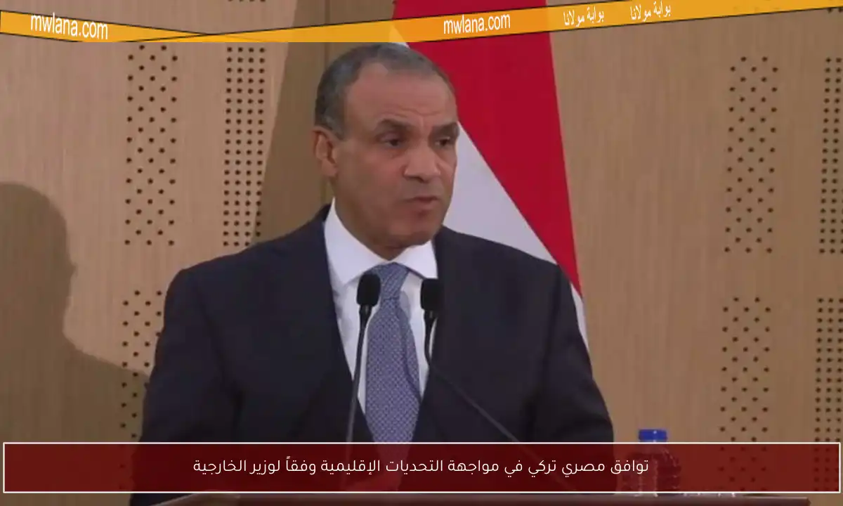 توافق مصري تركي في مواجهة التحديات الإقليمية وفقاً لوزير الخارجية