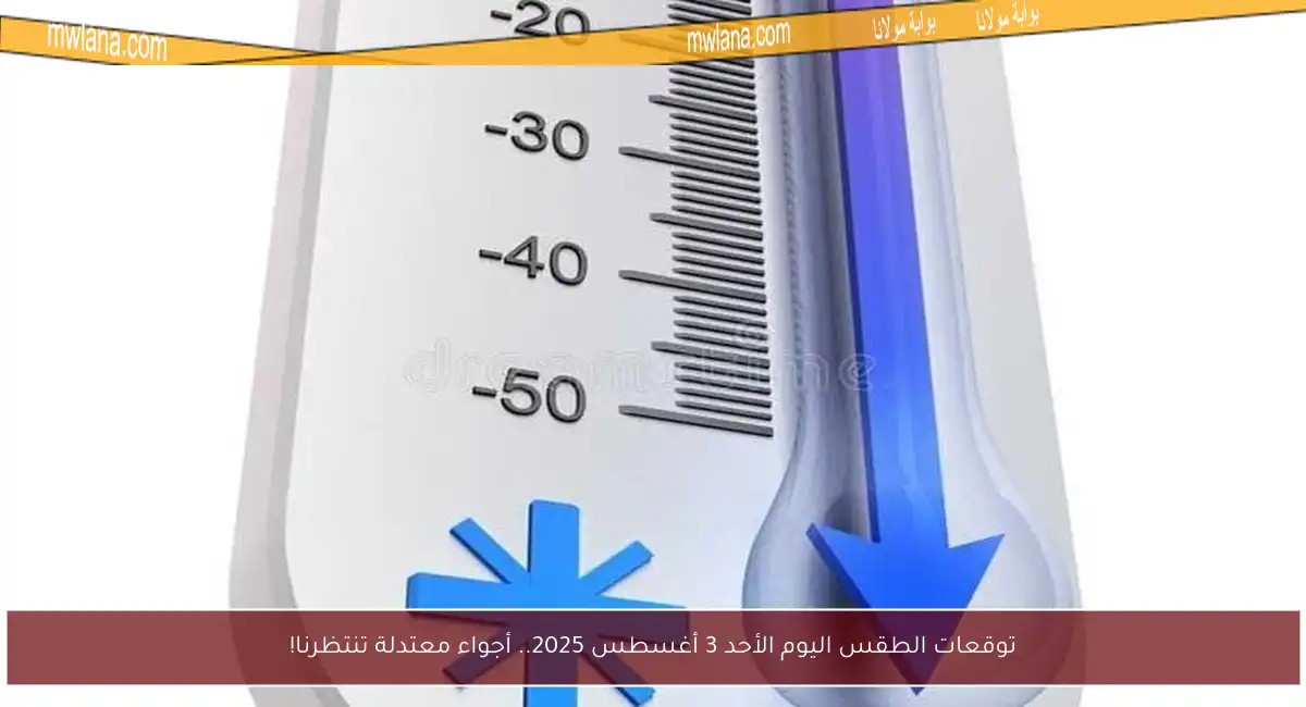 توقعات الطقس اليوم الأحد 3 أغسطس 2025.. أجواء معتدلة تنتظرنا!