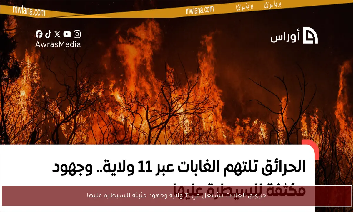 حرائق الغابات تشتعل في 11 ولاية وجهود حثيثة للسيطرة عليها