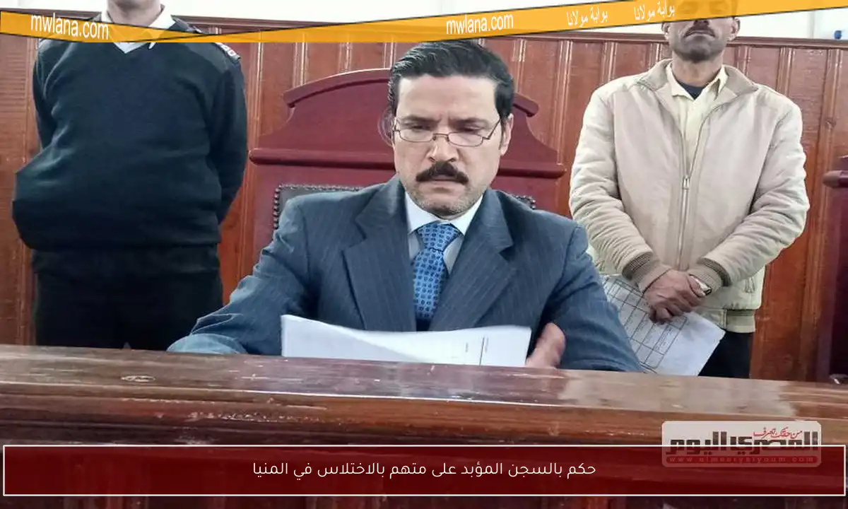 حكم بالسجن المؤبد على متهم بالاختلاس في المنيا