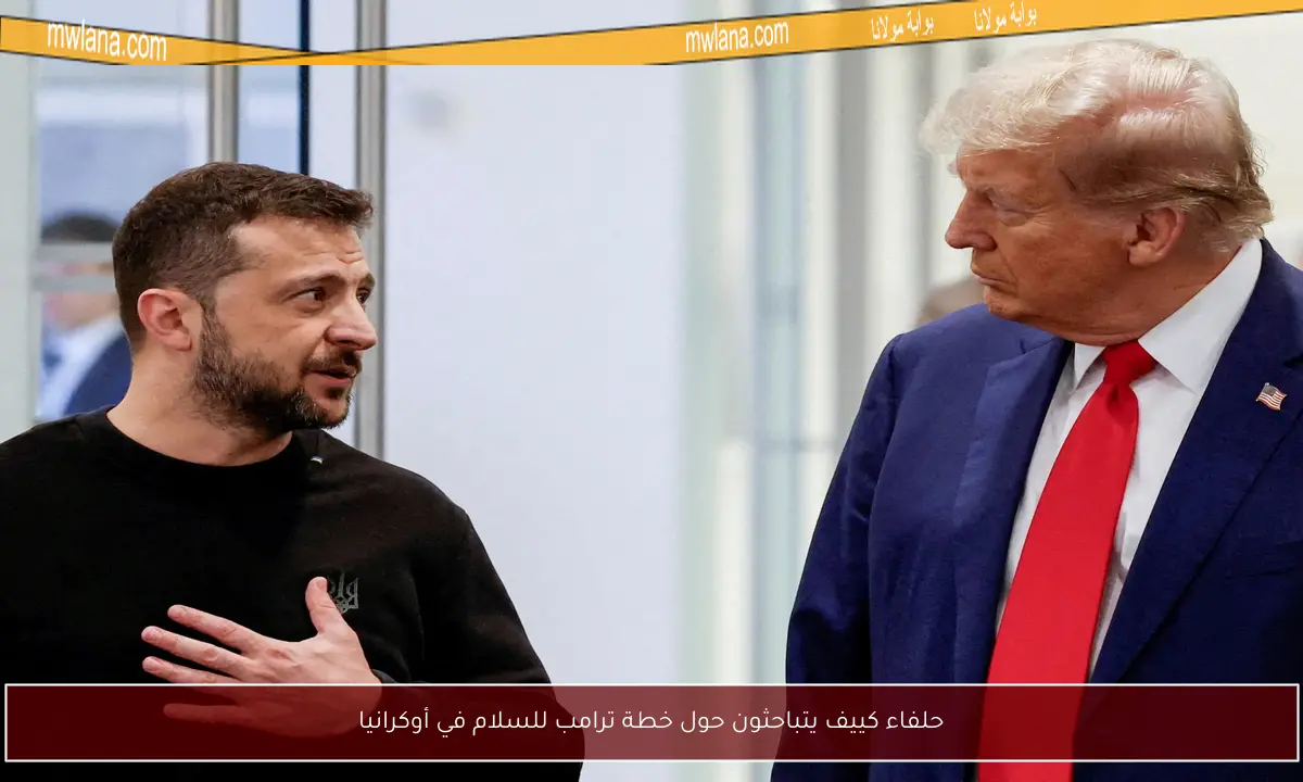 حلفاء كييف يتباحثون حول خطة ترامب للسلام في أوكرانيا